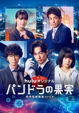 高效的网站seo优化